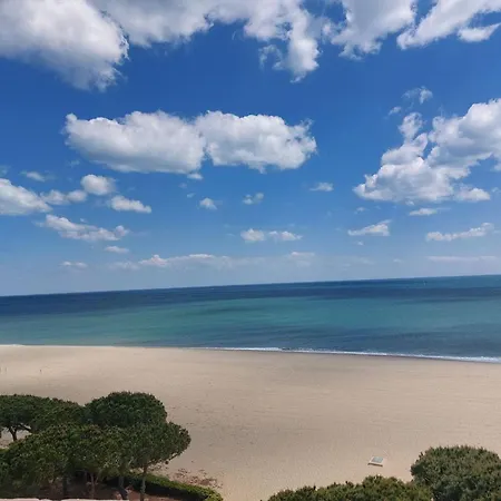 Climatise Port Argeles: 3 Pers, Loggia, Parking, & Commerces A Proximite - Fr-1-776-62 Apartment *